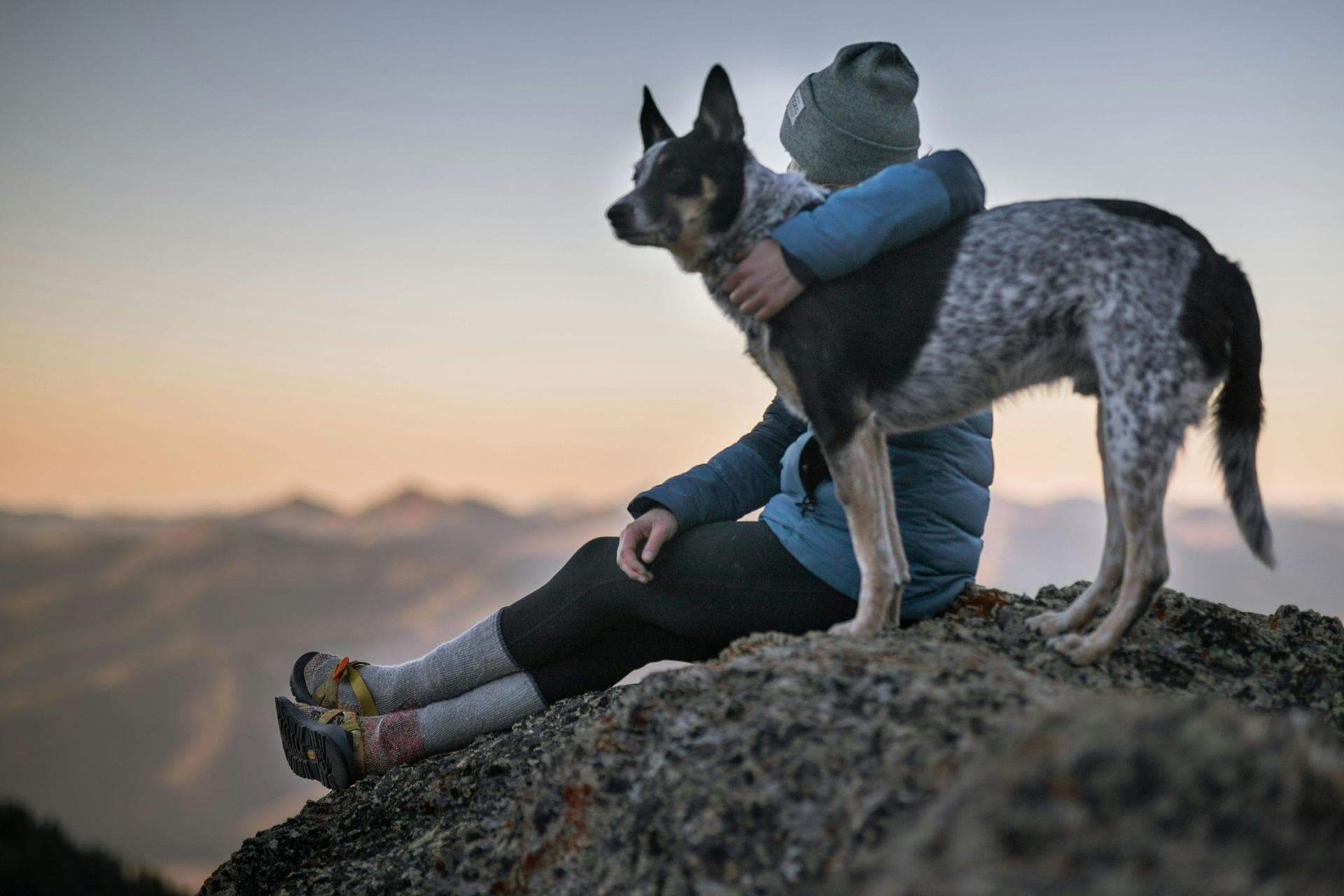 Dog & Cat Vets in Bigfork