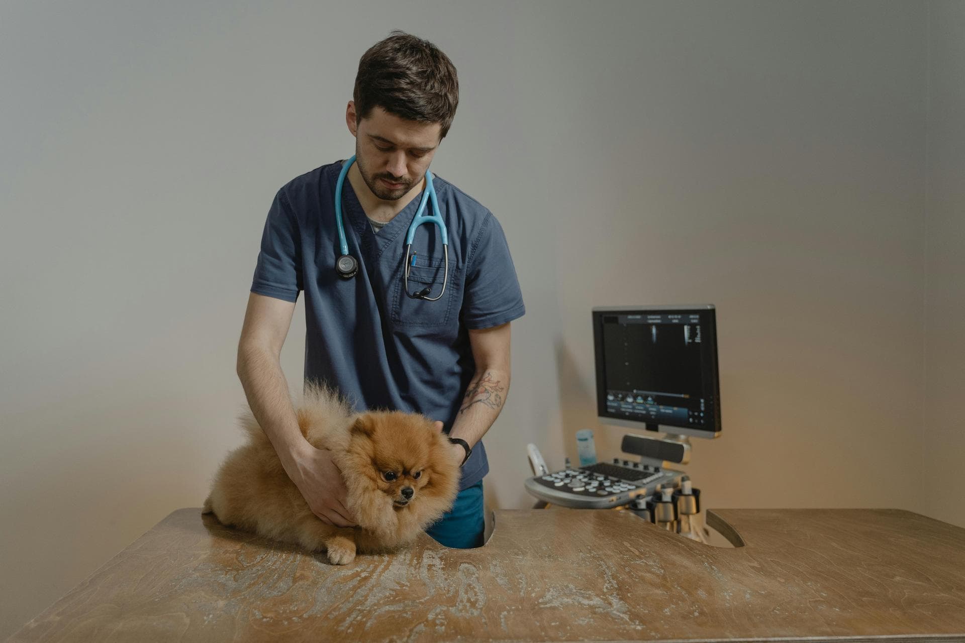 Best Vets in Worden